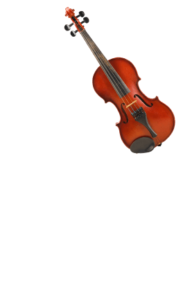 Violin